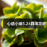 心动小镇5.24具体攻略