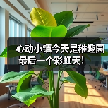 心动小镇今天是稚趣园最后一个彩虹天！（图3）