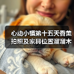 心动小镇第十五天香薰拍照及家具位置溜溜木萤石位置(图4) 心动小镇第十五天香薰拍照及家具位置溜溜木萤石位置(图4)
