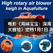 电影《海绵宝宝:深海大冒险》定档1月1日 海绵宝宝陪你欢乐迎新年(图4) 电影《海绵宝宝:深海大冒险》定档1月1日 海绵宝宝陪你欢乐迎新年(图4)