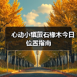 心动小镇萤石橡木今日位置指南（图4）