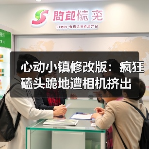心动小镇修改版：疯狂磕头跪地遭相机挤出（图2）