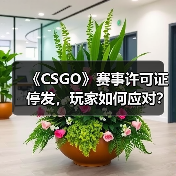 《CSGO》赛事许可证停发,玩家如何应对?(图2) 《CSGO》赛事许可证停发,玩家如何应对?(图2)