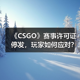 《CSGO》赛事许可证停发,玩家如何应对?(图4) 《CSGO》赛事许可证停发,玩家如何应对?(图4)