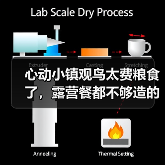 心动小镇观鸟太费粮食了,露营餐都不够造的~(图2) 心动小镇观鸟太费粮食了,露营餐都不够造的~(图2)