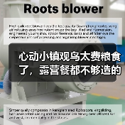 心动小镇观鸟太费粮食了,露营餐都不够造的~(图4) 心动小镇观鸟太费粮食了,露营餐都不够造的~(图4)