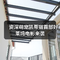 资深萌宠凯蒂猫首部好莱坞电影来袭(图4) 资深萌宠凯蒂猫首部好莱坞电影来袭(图4)