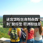 迷宫饭粉丝自制森西 迷宫饭粉丝自制森西