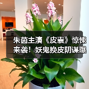 朱茵主演《皮囊》惊悚来袭!妖鬼换皮阴谋曝光(图3) 朱茵主演《皮囊》惊悚来袭!妖鬼换皮阴谋曝光(图3)