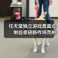 任天堂独立游戏直面会:哪些重磅新作将亮相?(图1) 任天堂独立游戏直面会:哪些重磅新作将亮相?(图1)