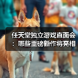 任天堂独立游戏直面会:哪些重磅新作将亮相?(图4) 任天堂独立游戏直面会:哪些重磅新作将亮相?(图4)