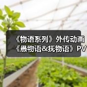 《物语系列》外传动画《愚物语&抚物语》PV公布 7月6日开播（图1）