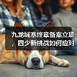 九龙城寨终章备案立项，四少新挑战如何应对？