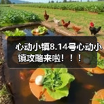 心动小镇8.14号心动小镇攻略来啦！！！（图1）