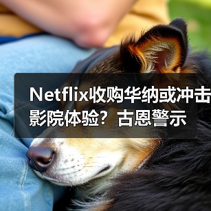 Netflix收购华纳或冲击影院体验?古恩警示(图3) Netflix收购华纳或冲击影院体验?古恩警示(图3)