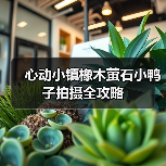 心动小镇橡木萤石小鸭子拍摄全攻略（图1）