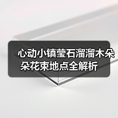 心动小镇莹石溜溜木朵朵花束地点全解析（图4）