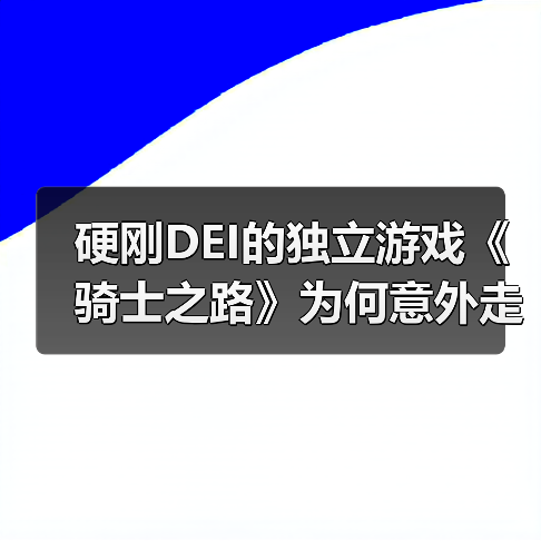 硬刚DEI的独立游戏《骑士之路》为何意外走红?(图4) 硬刚DEI的独立游戏《骑士之路》为何意外走红?(图4)