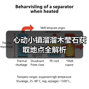 心动小镇溜溜木莹石获取地点全解析（图1）