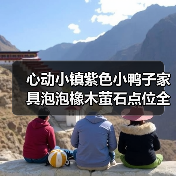 心动小镇紫色小鸭子家具泡泡橡木萤石点位全攻略（图4）