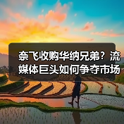 奈飞收购华纳兄弟?流媒体巨头如何争夺市场主导权?(图4) 奈飞收购华纳兄弟?流媒体巨头如何争夺市场主导权?(图4)