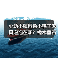 心动小镇橙色小鸭子家具泡泡在哪？橡木萤石点位全攻略（图2）