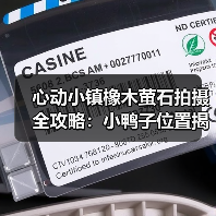 心动小镇橡木萤石拍摄全攻略：小鸭子位置揭秘（图4）