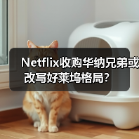 Netflix收购华纳兄弟或改写好莱坞格局?(图3) Netflix收购华纳兄弟或改写好莱坞格局?(图3)