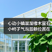 心动小镇溜溜橡木萤石小鸭子气泡最新位置在哪？（图4）