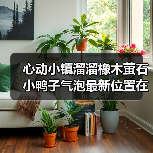 心动小镇溜溜橡木萤石小鸭子气泡最新位置在哪？（图3）