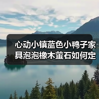 心动小镇蓝色小鸭子家具泡泡橡木萤石如何定位？（图3）