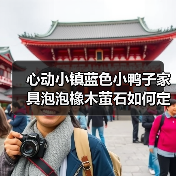 心动小镇蓝色小鸭子家具泡泡橡木萤石如何定位？（图4）