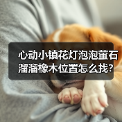 心动小镇花灯泡泡萤石溜溜橡木位置怎么找？攻略汇总（图3）