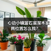 心动小镇萤石溜溜木家具位置怎么找?(图3) 心动小镇萤石溜溜木家具位置怎么找?(图3)