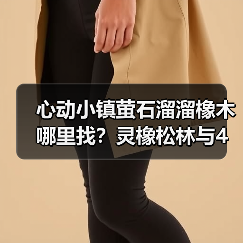 心动小镇萤石溜溜橡木哪里找？灵橡松林与4号家园必收点（图2）