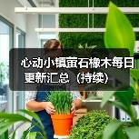 心动小镇萤石橡木每日更新汇总(持续)(图4) 心动小镇萤石橡木每日更新汇总(持续)(图4)