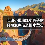 心动小镇粉红小鸭子家具泡泡点位及橡木萤石获取全解析（图2）