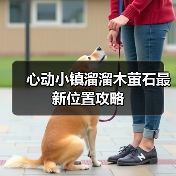 心动小镇溜溜木萤石最新位置攻略（图3）