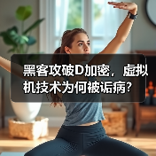 黑客攻破D加密，虚拟机技术为何被诟病？（图2）