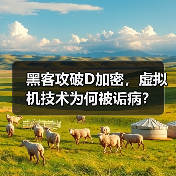 黑客攻破D加密，虚拟机技术为何被诟病？（图4）