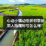 心动小镇动物新邻季拾羽人隐藏称号怎么得？（图3）