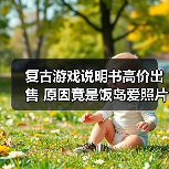 复古游戏说明书高价出售 原因竟是饭岛爱照片?(图3) 复古游戏说明书高价出售 原因竟是饭岛爱照片?(图3)