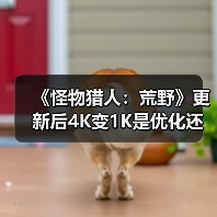 《怪物猎人:荒野》更新后4K变1K是优化还是负优化?(图2) 《怪物猎人:荒野》更新后4K变1K是优化还是负优化?(图2)