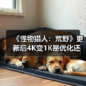 《怪物猎人:荒野》更新后4K变1K是优化还是负优化?(图4) 《怪物猎人:荒野》更新后4K变1K是优化还是负优化?(图4)