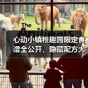 心动小镇稚趣园限定食谱全公开，隐藏配方大揭秘（图2）