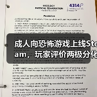 成人向恐怖游戏上线Steam,玩家评价两极分化?(图4) 成人向恐怖游戏上线Steam,玩家评价两极分化?(图4)