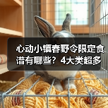 心动小镇春野令限定食谱有哪些?4大类超多配方大公开(图2) 心动小镇春野令限定食谱有哪些?4大类超多配方大公开(图2)