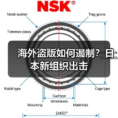海外盗版如何遏制?日本新组织出击(图3) 海外盗版如何遏制?日本新组织出击(图3)