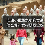 心动小镇线条小狗食谱怎么养？食材获取全攻略（图1）