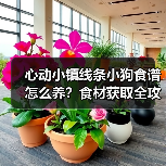 心动小镇线条小狗食谱怎么养？食材获取全攻略（图2）